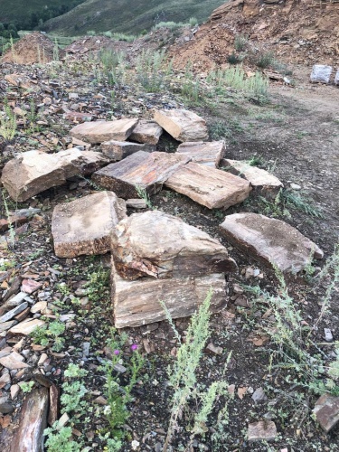 Плитняк кора дерева 50-100мм для пошаговых дорожек купить в Лангепасе